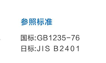 执行标准